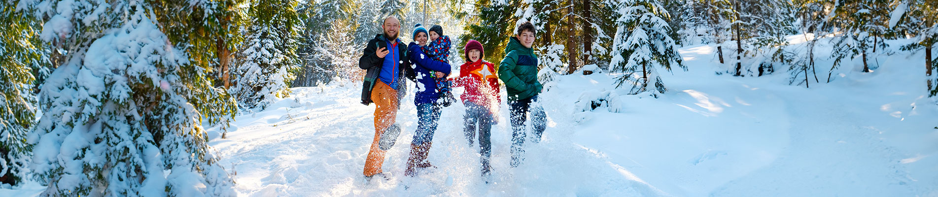  Oisans, les Alpes mythiques